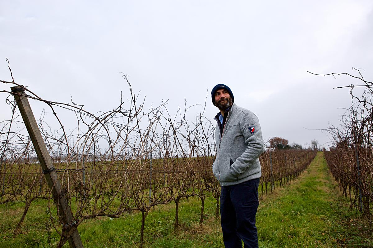 Domaine Des Collines The Source