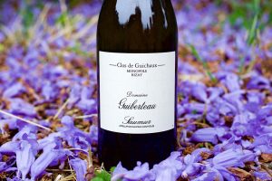 Guibertau Clos de Guichaux