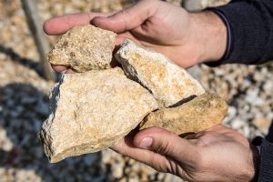 Rocks in Chablis