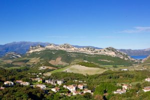 ADN Vineyards Corsica