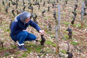 Anne Moray in the vineyard