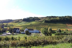 François Crochet's vineyards in Sancerre, Loire Valley