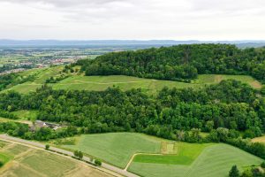 Wasenhaus Vineyards