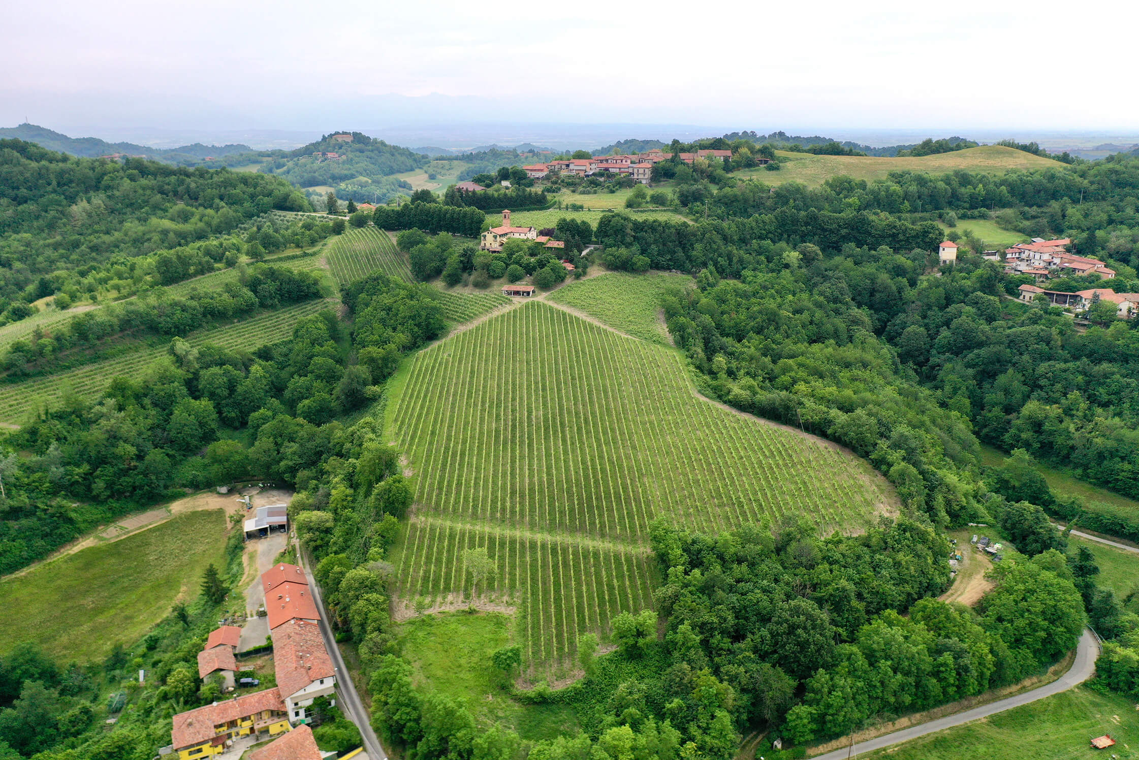2020 Ruche, Di Monferrato - The Castagnole Source