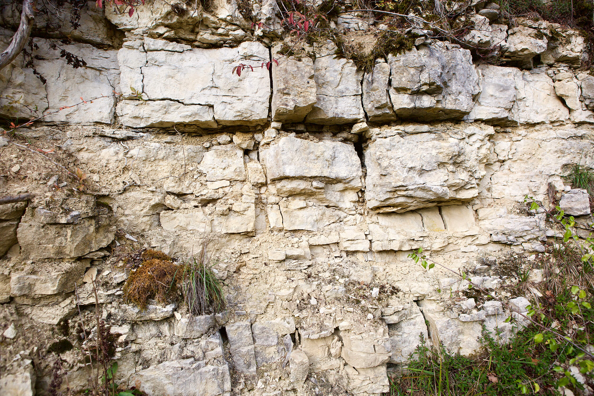Limestone in Les Riceys